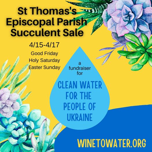 Wine to Water fundraiser