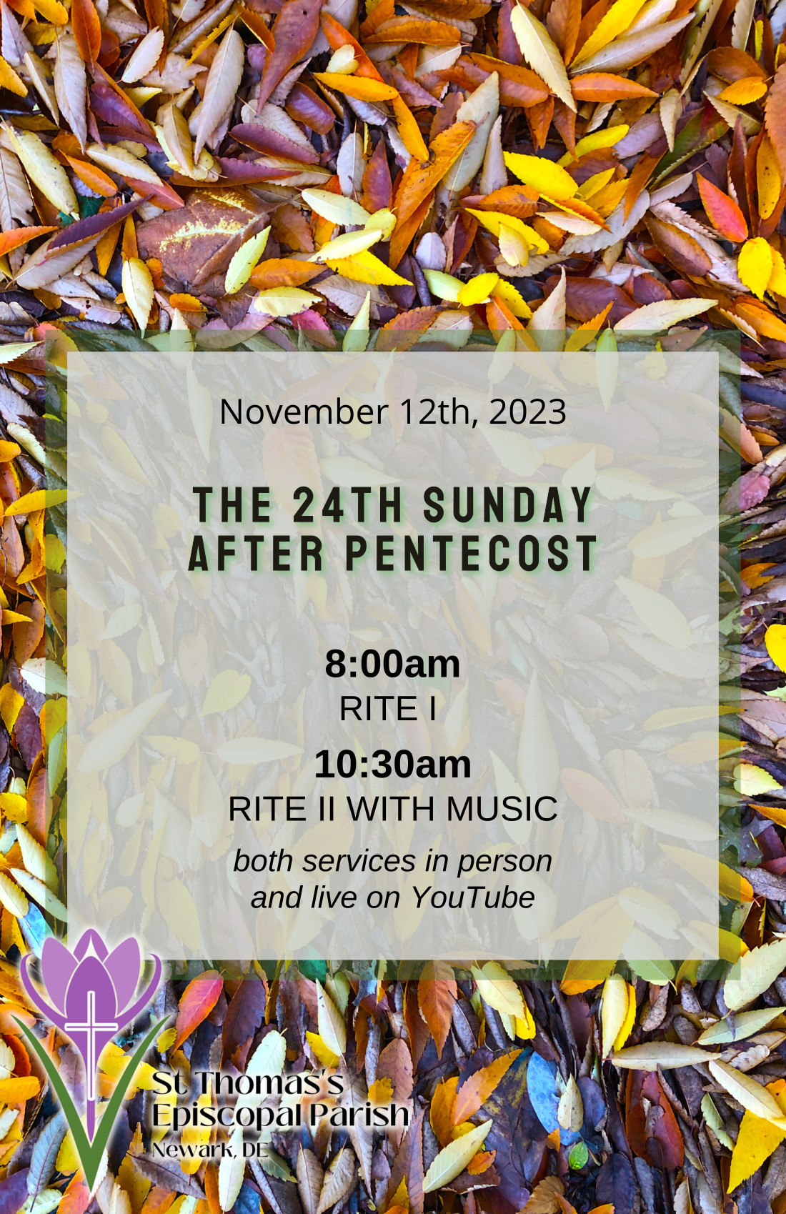 24th Sunday Pentecost